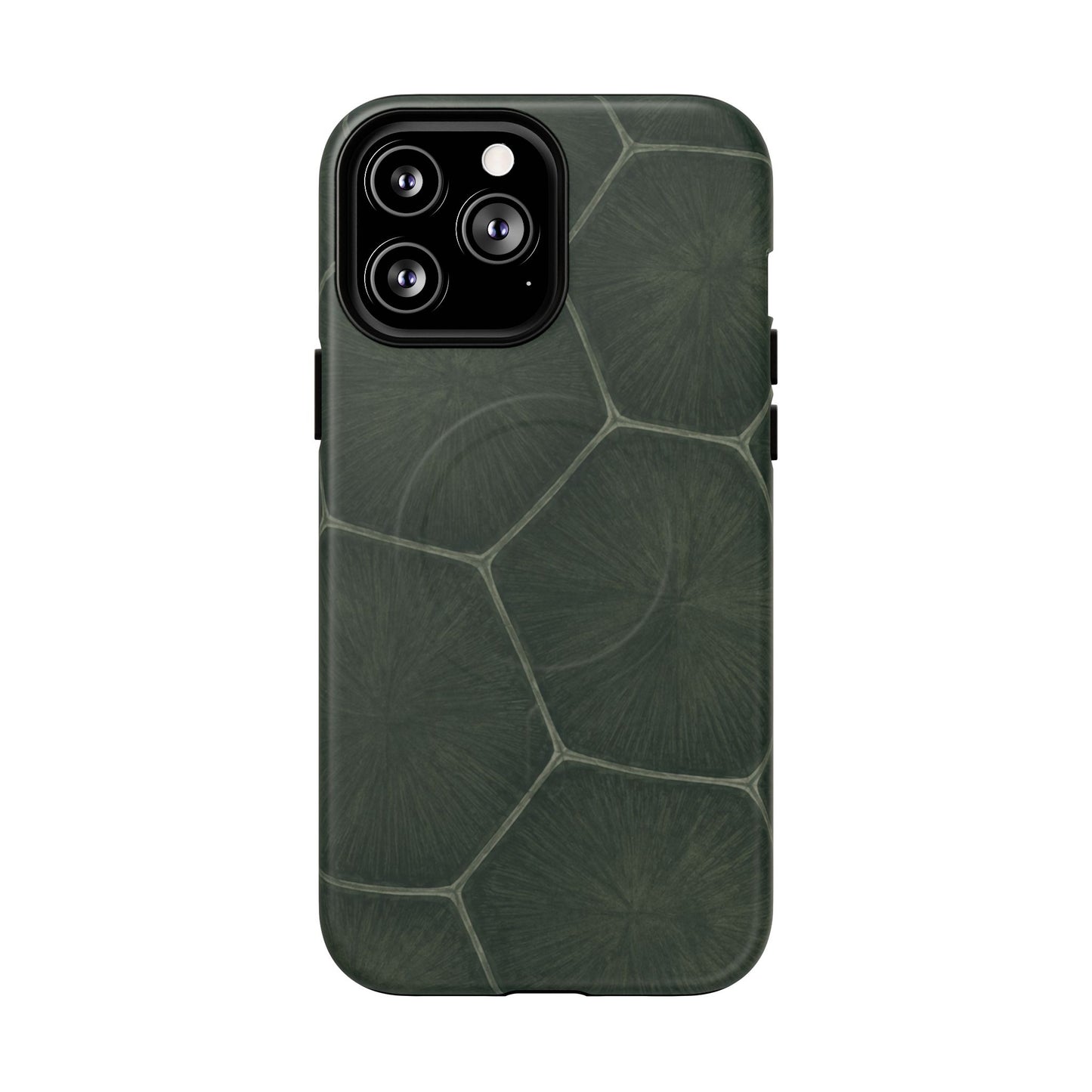 Turtle Pattern