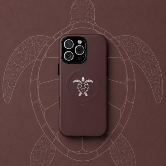 Silent Turtle