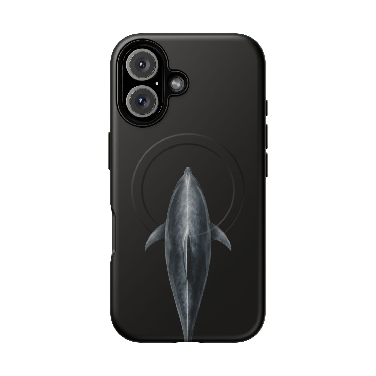Silent Dolphin