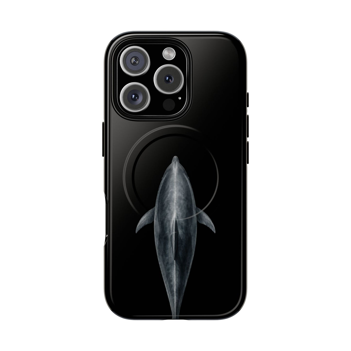 Silent Dolphin