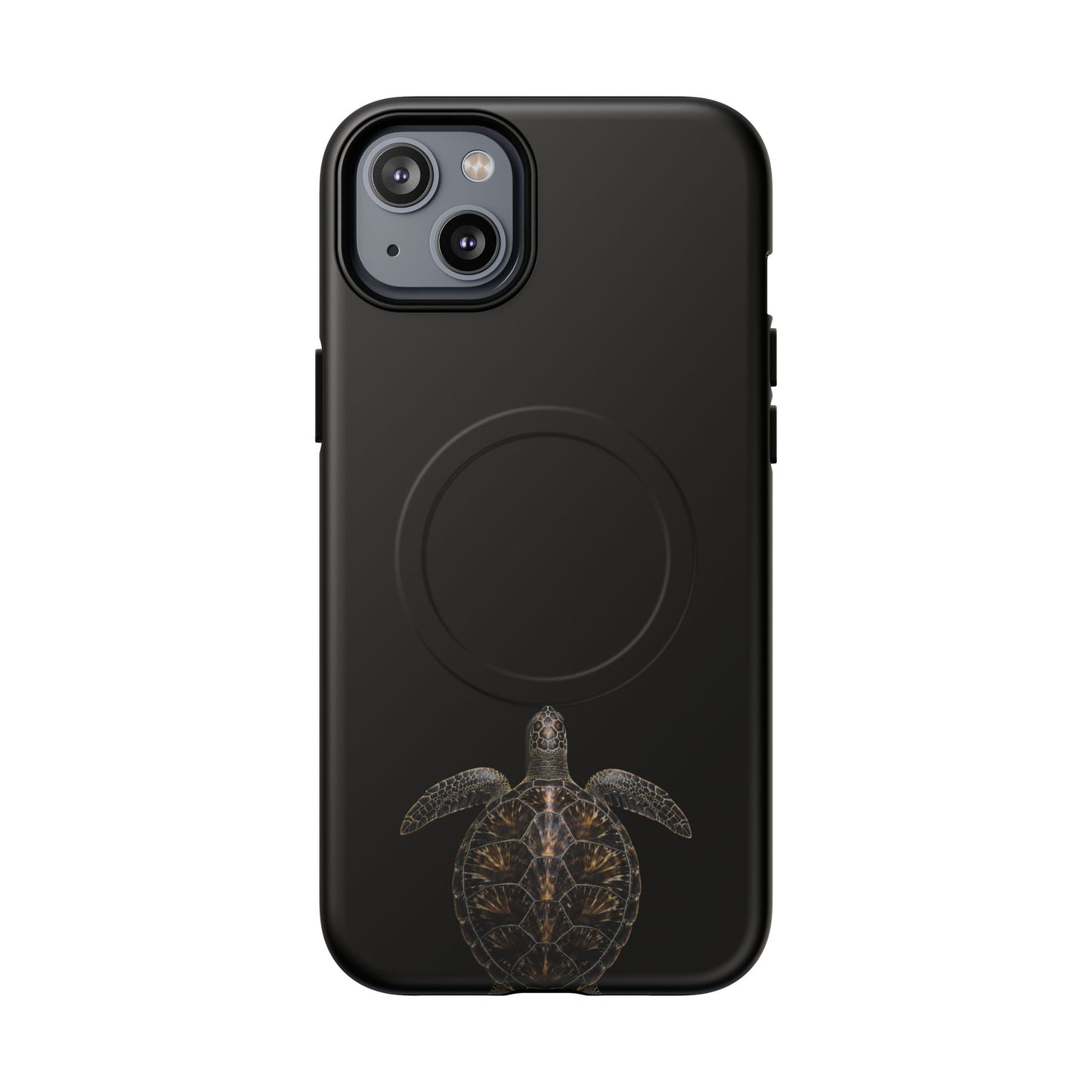 Midnight Turtle