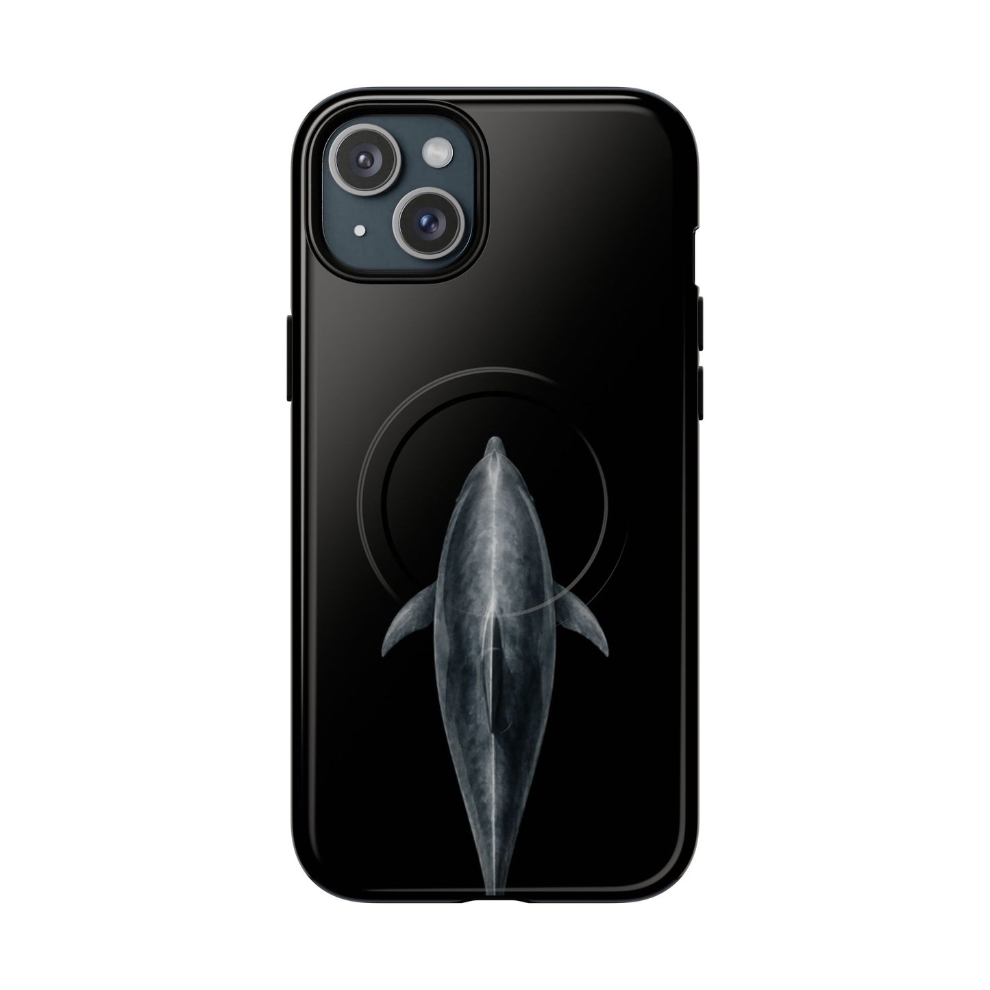 Silent Dolphin