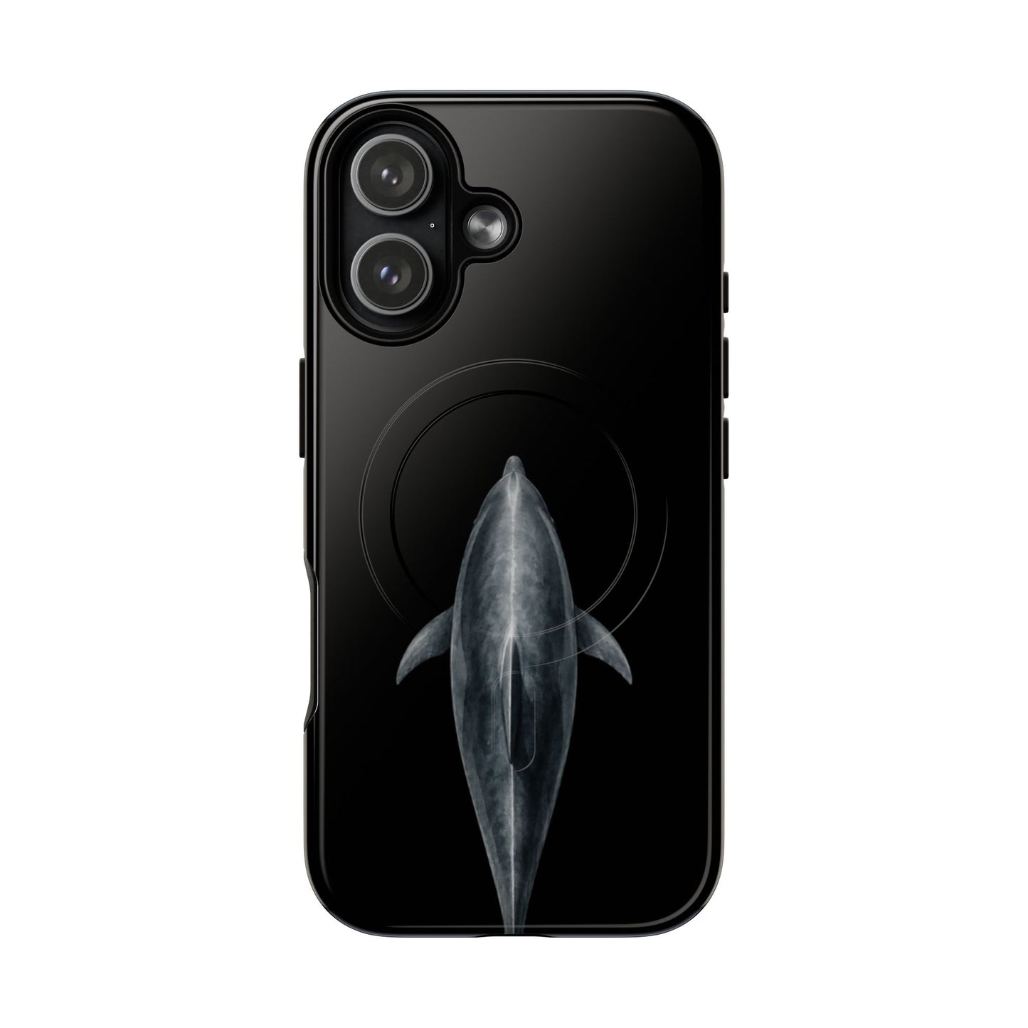 Silent Dolphin