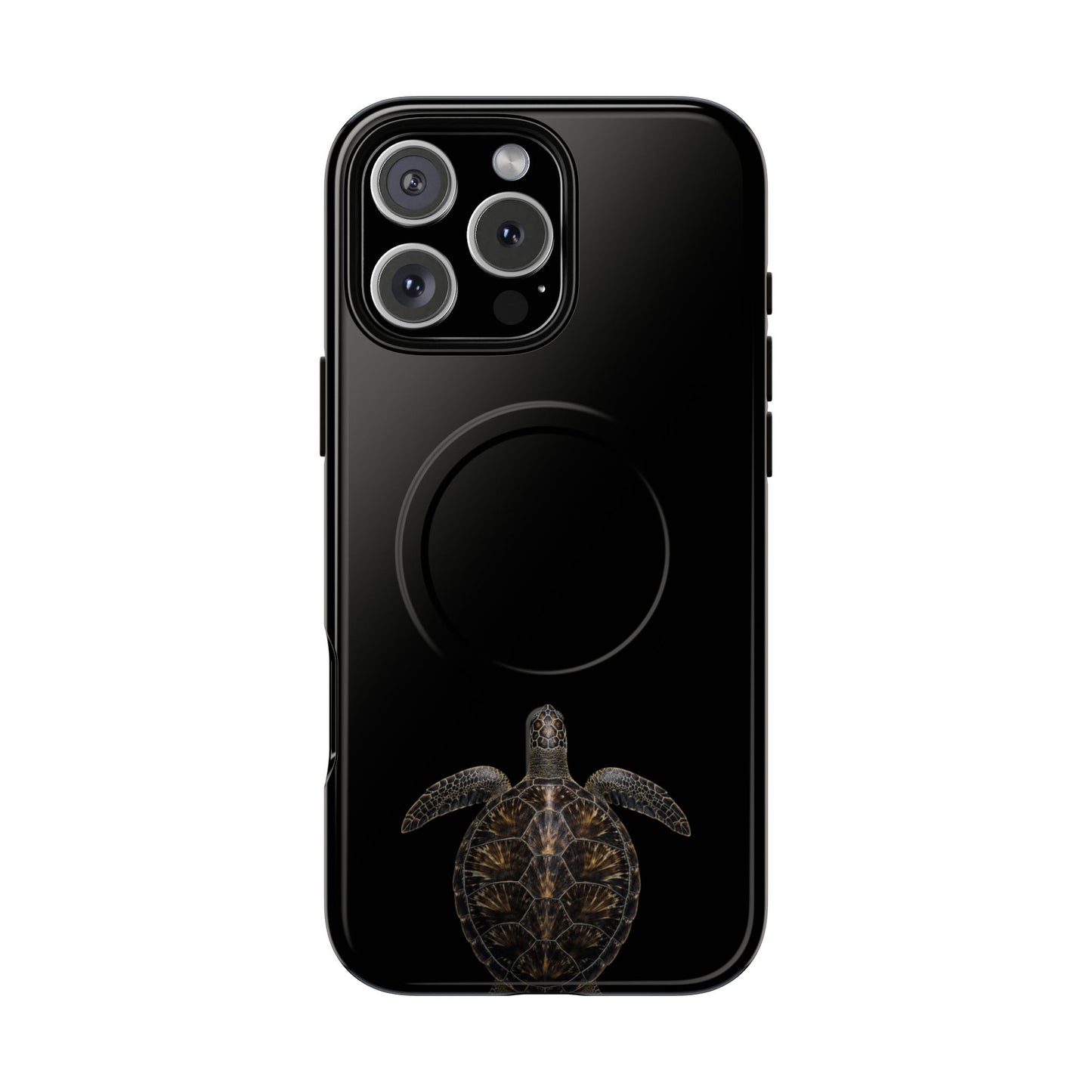 Midnight Turtle