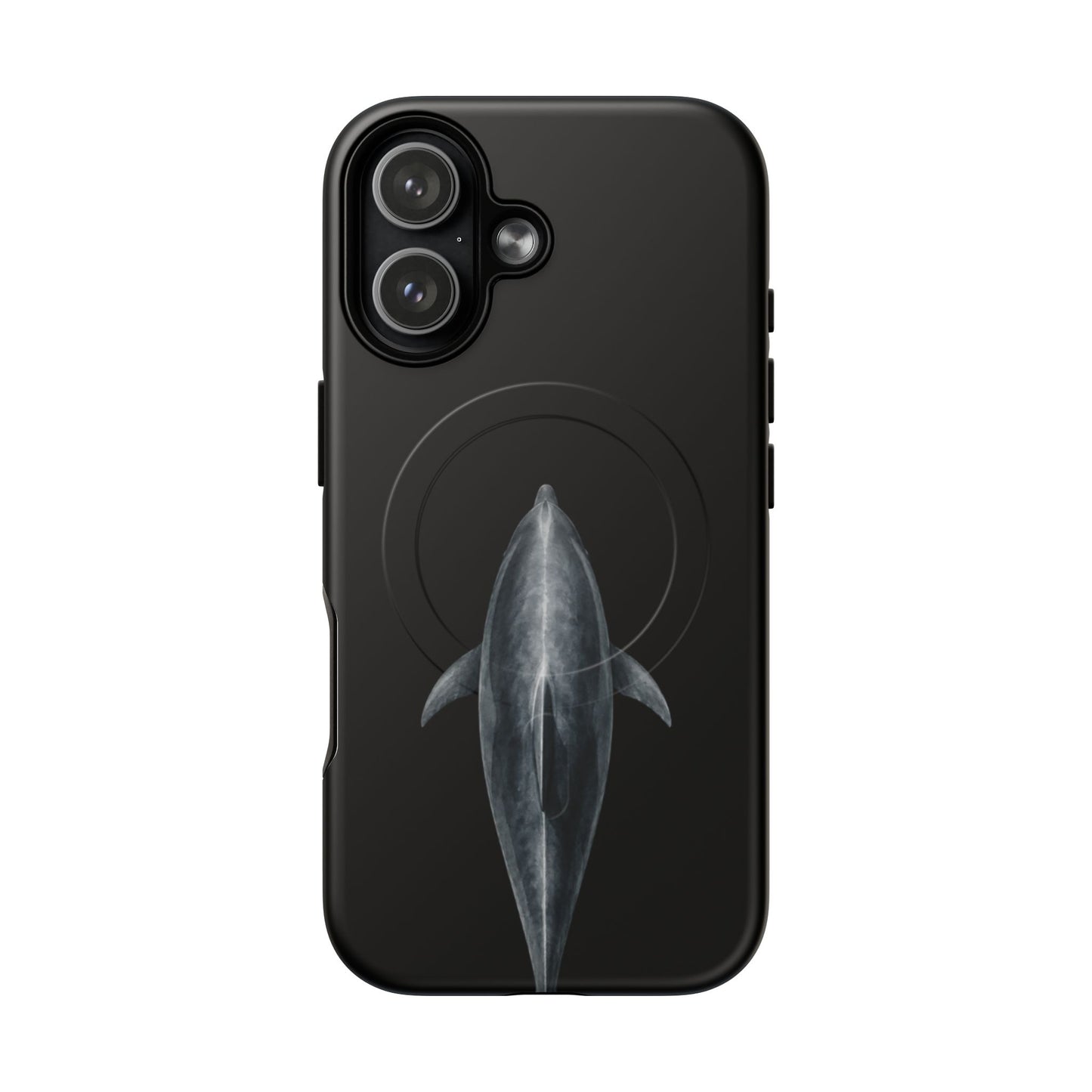 Silent Dolphin