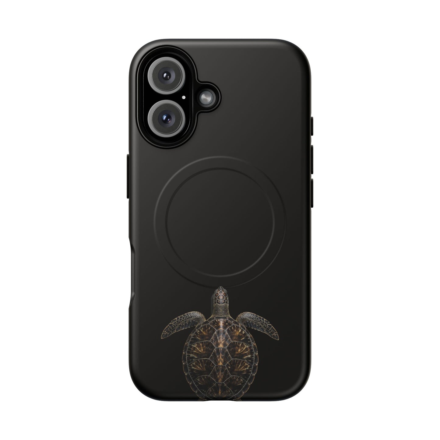 Midnight Turtle