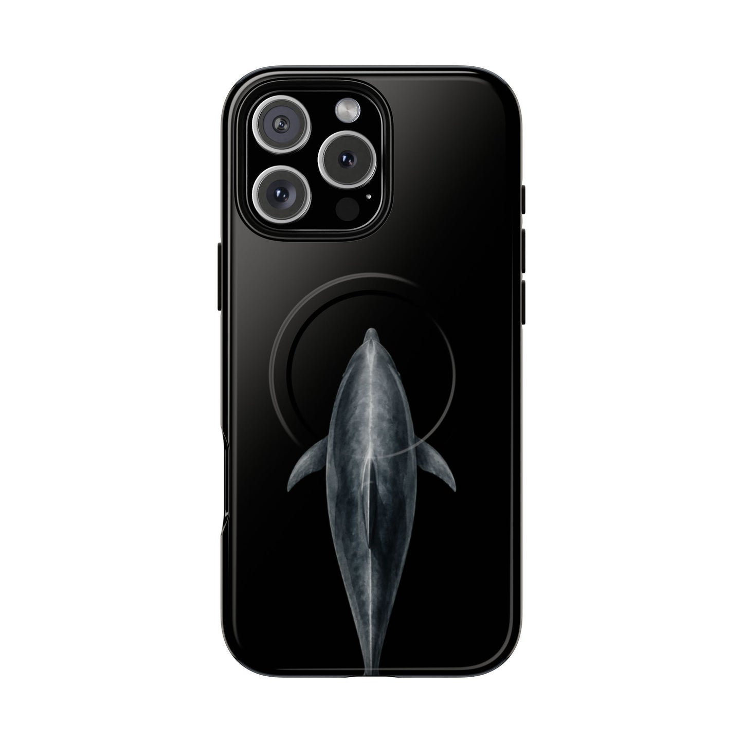 Silent Dolphin