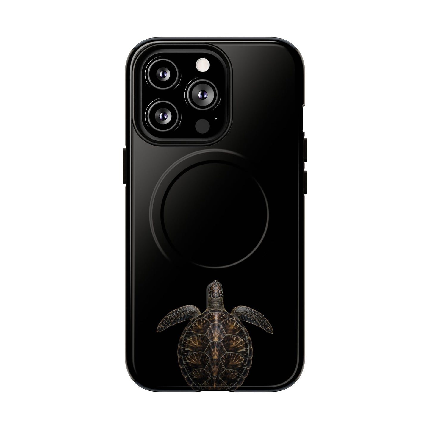 Midnight Turtle