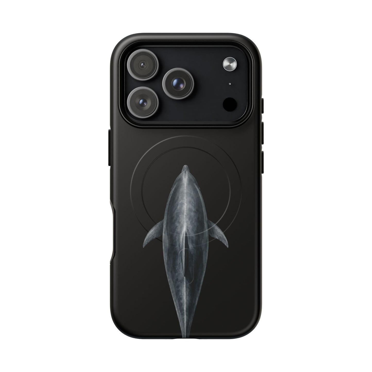 Silent Dolphin