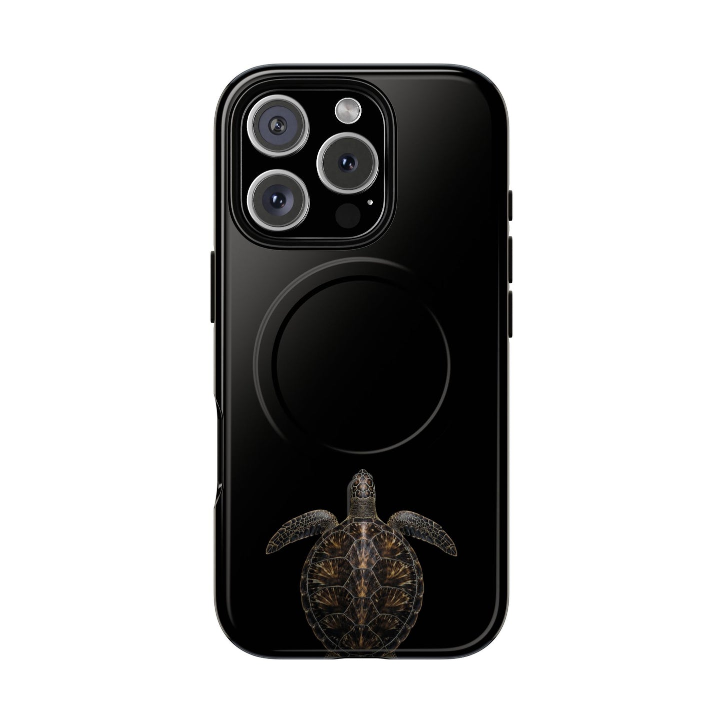 Midnight Turtle