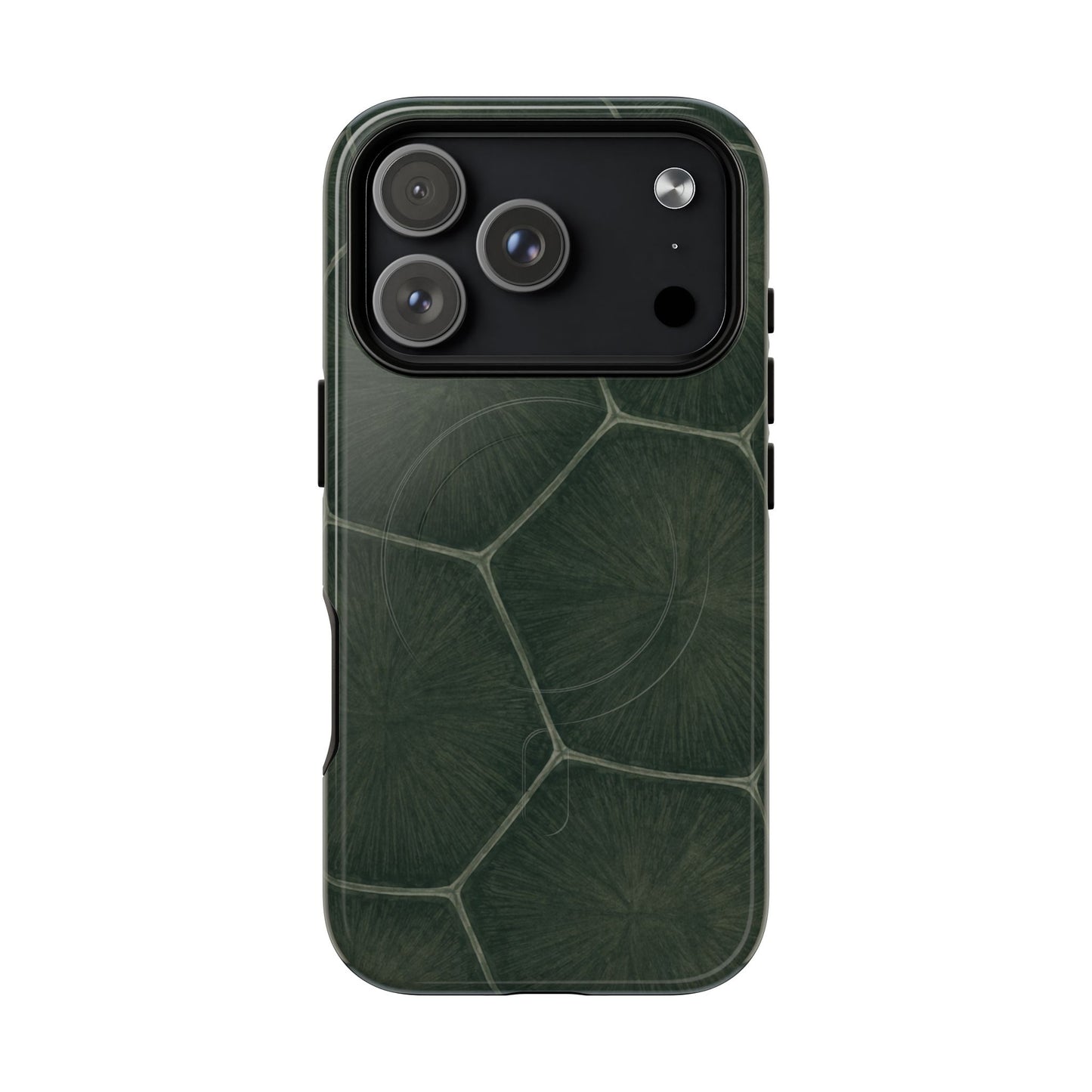 Turtle Pattern