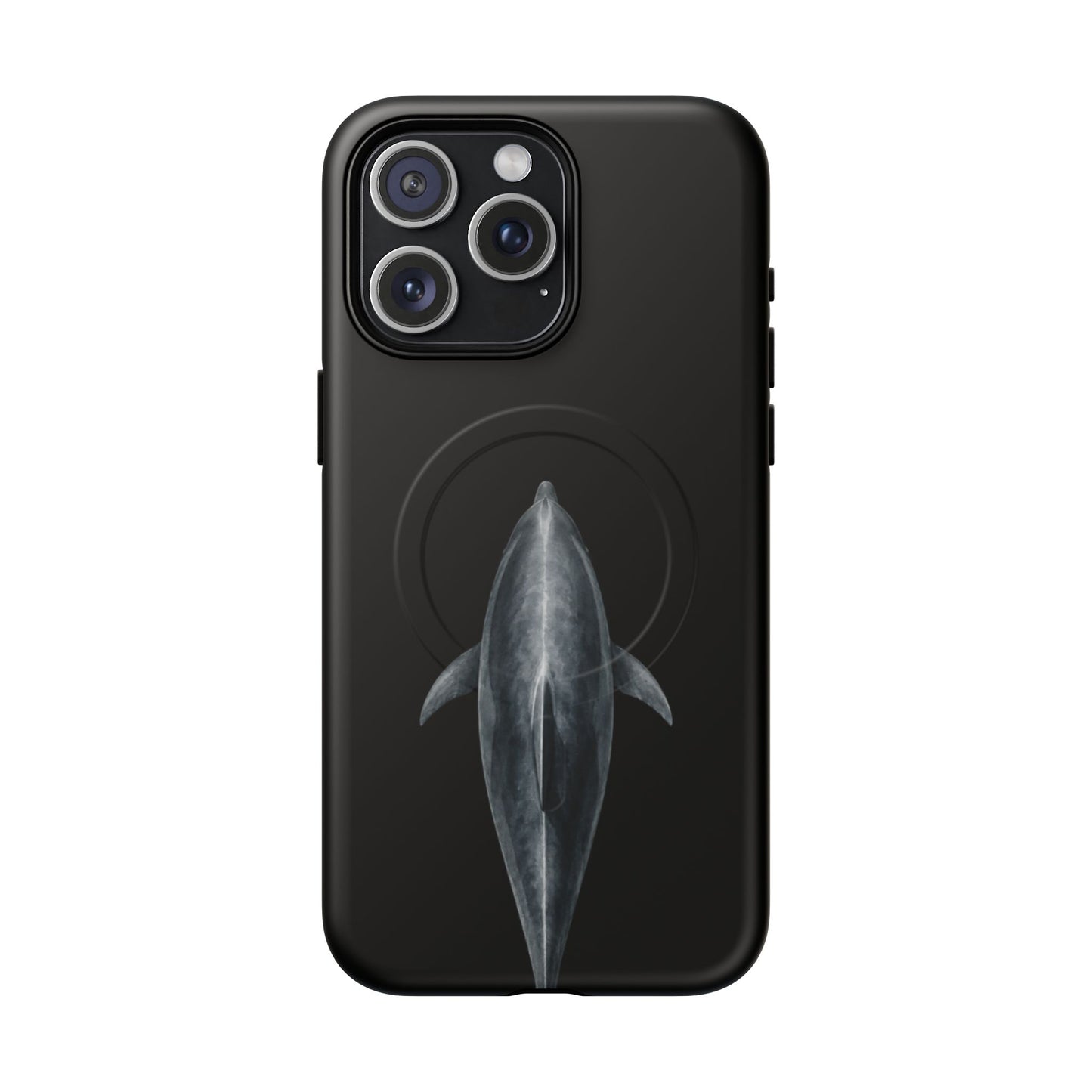 Silent Dolphin