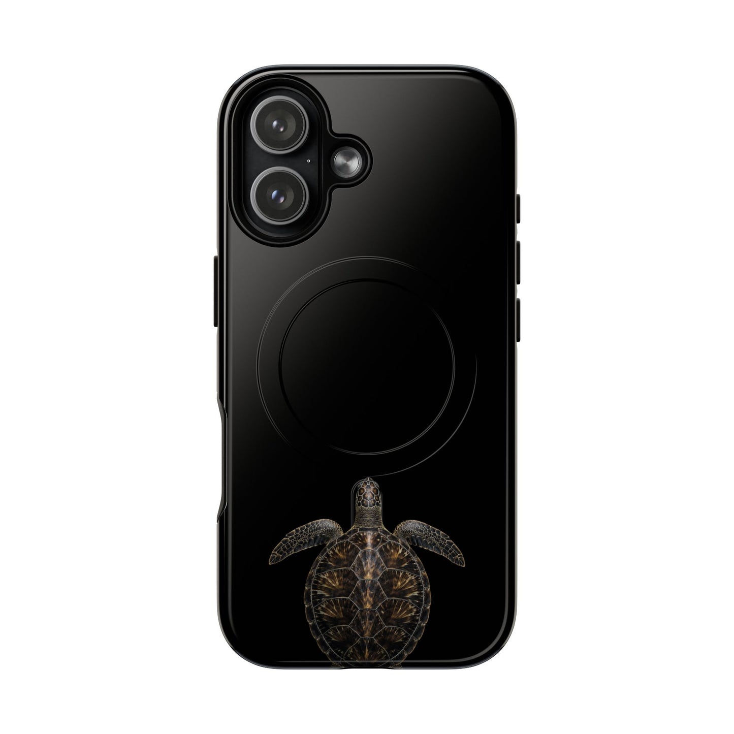 Midnight Turtle