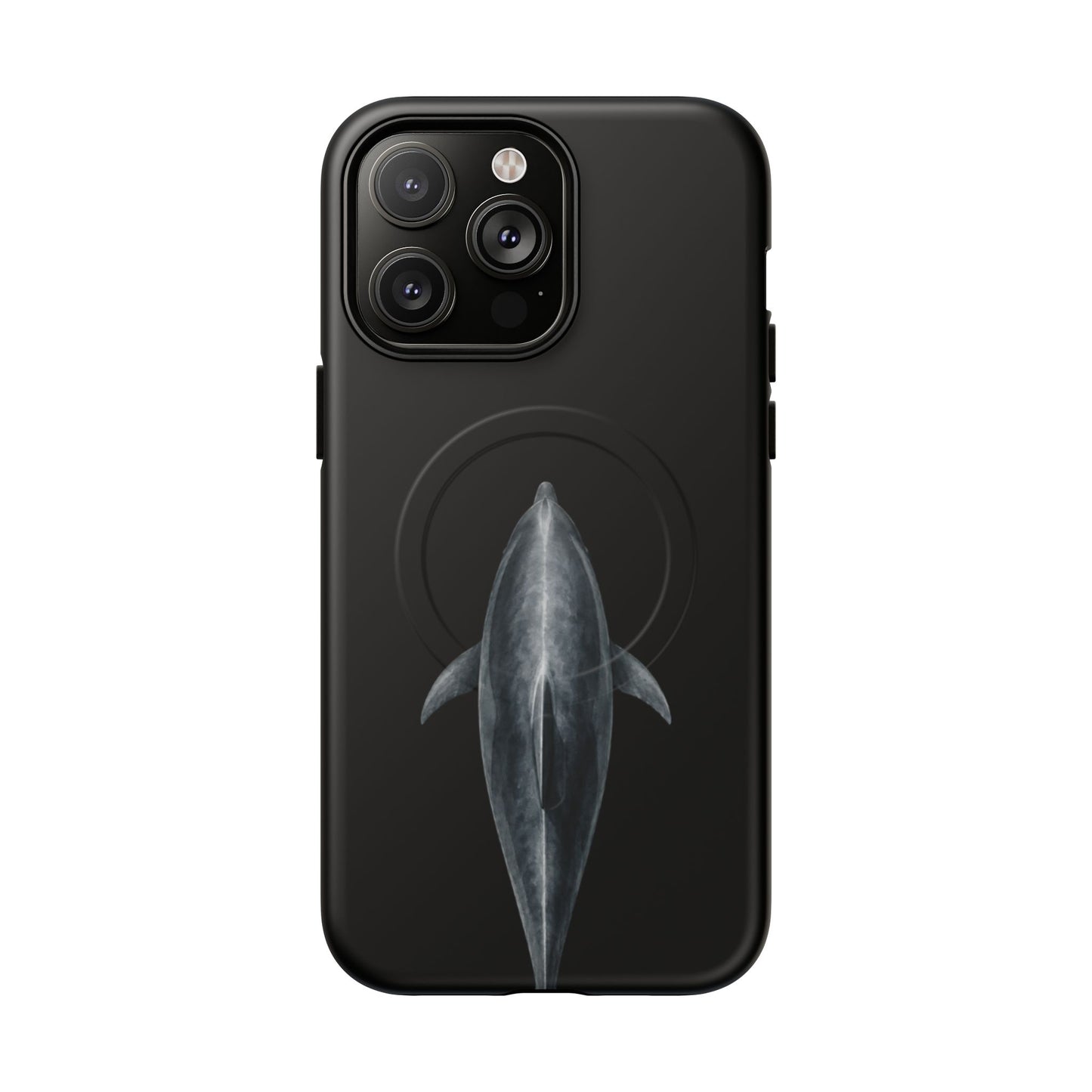 Silent Dolphin