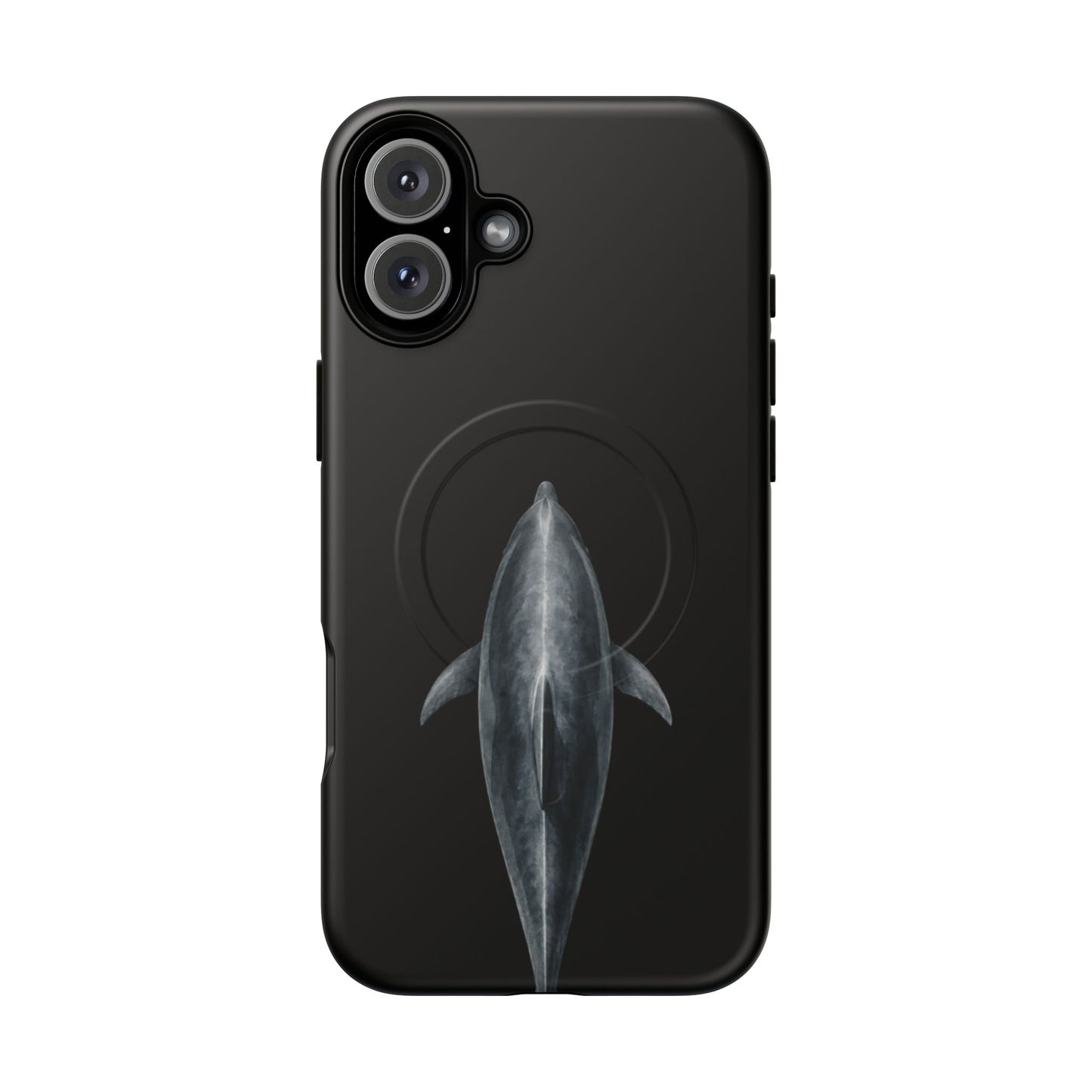 Silent Dolphin