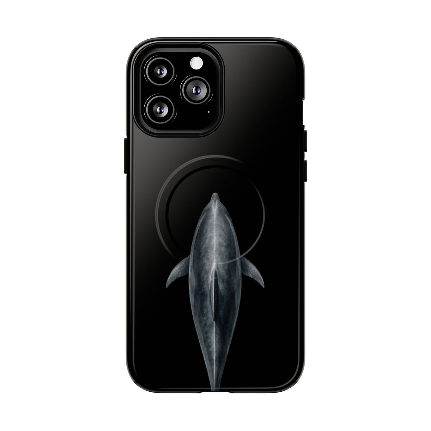 Silent Dolphin