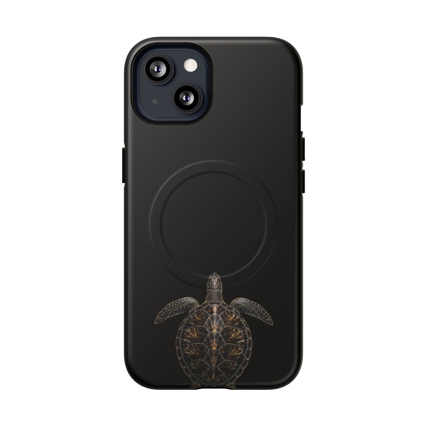 Midnight Turtle