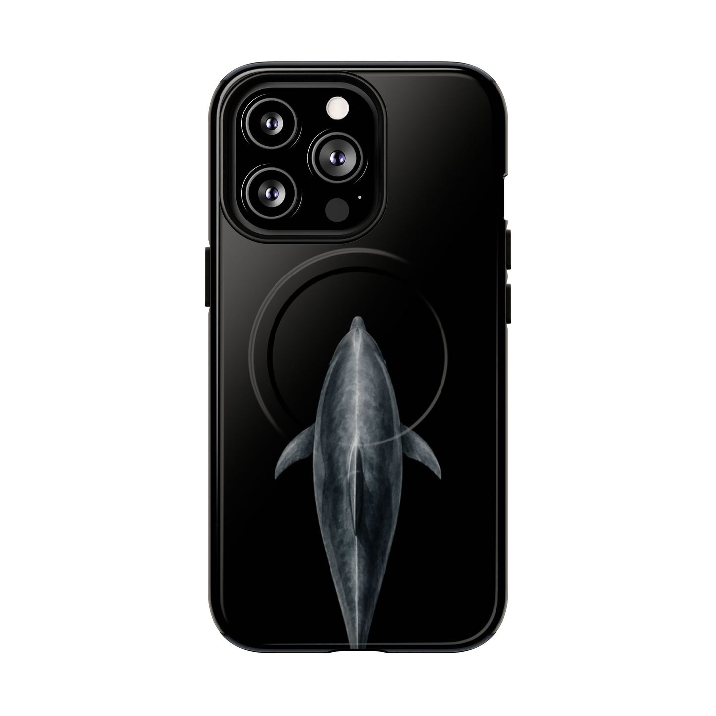 Silent Dolphin
