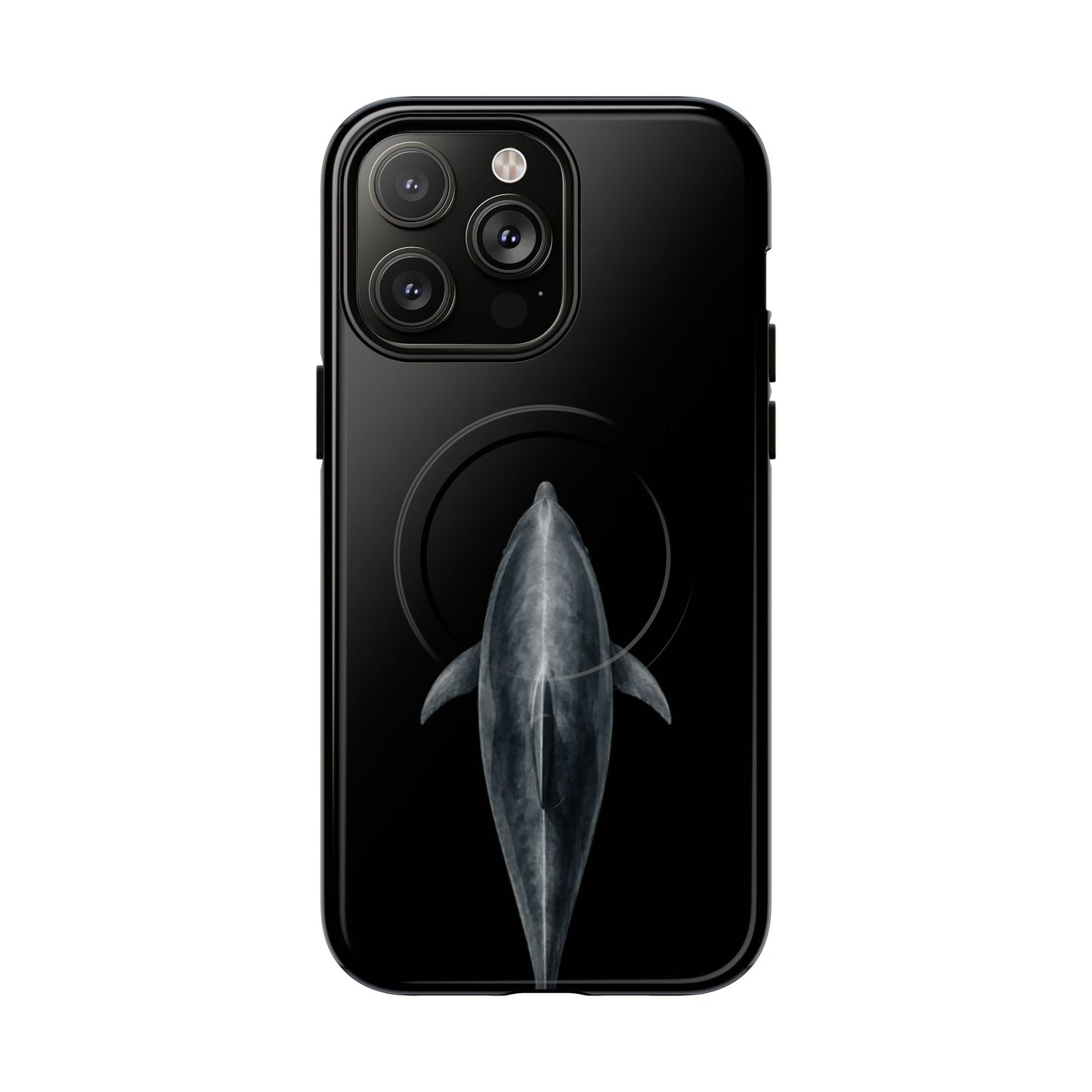 Silent Dolphin