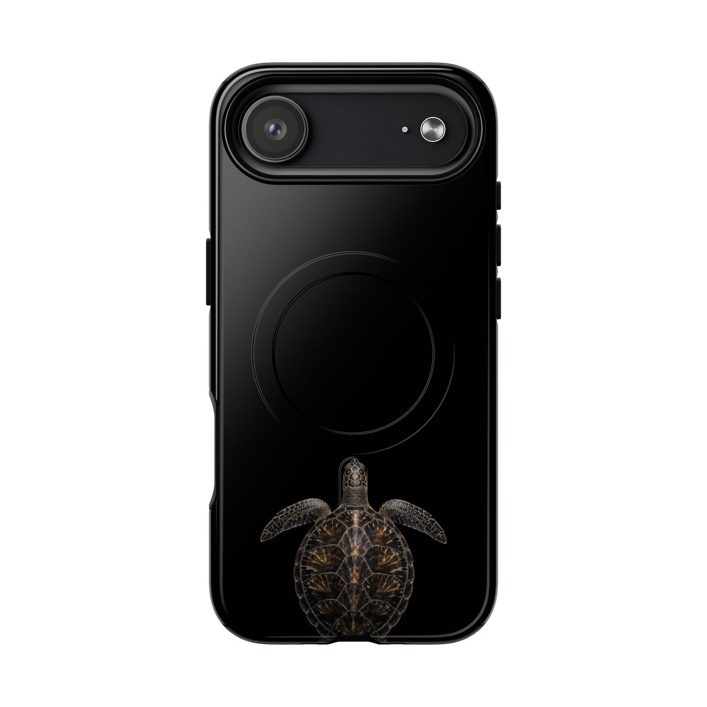 Midnight Turtle