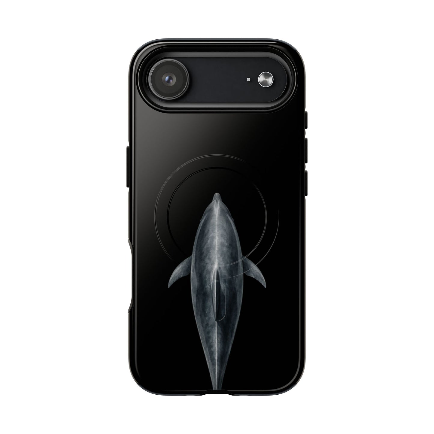 Silent Dolphin