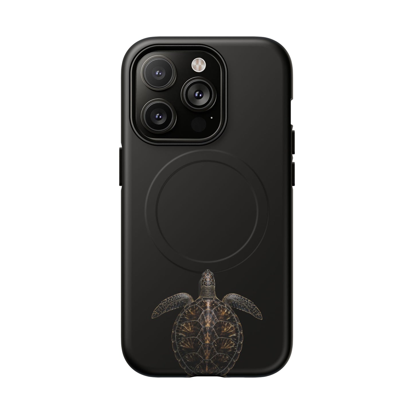 Midnight Turtle