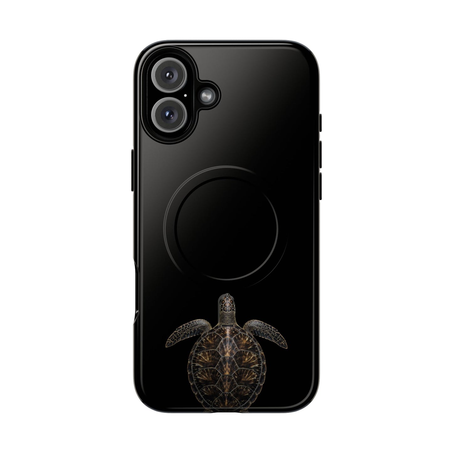 Midnight Turtle