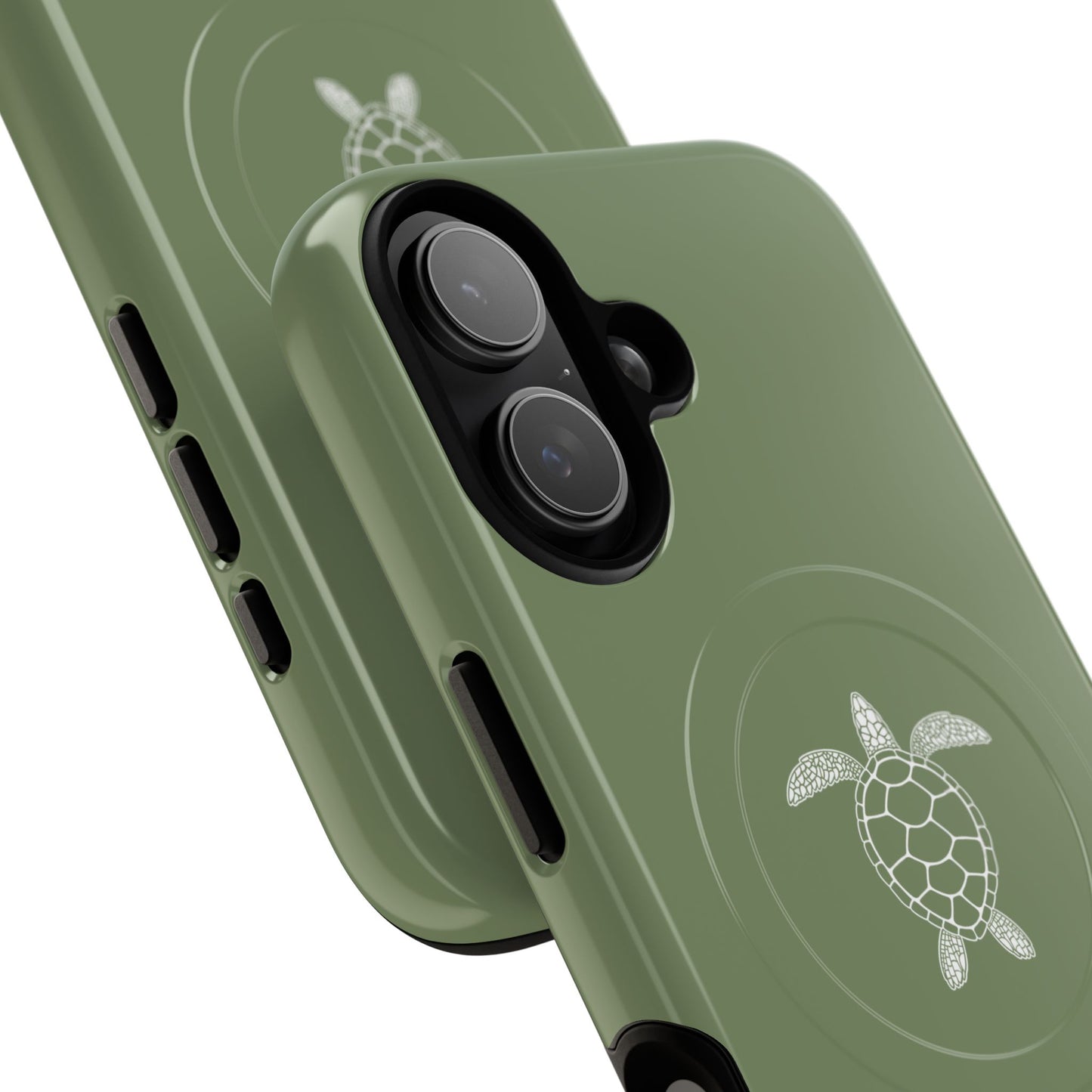 Silent Turtle