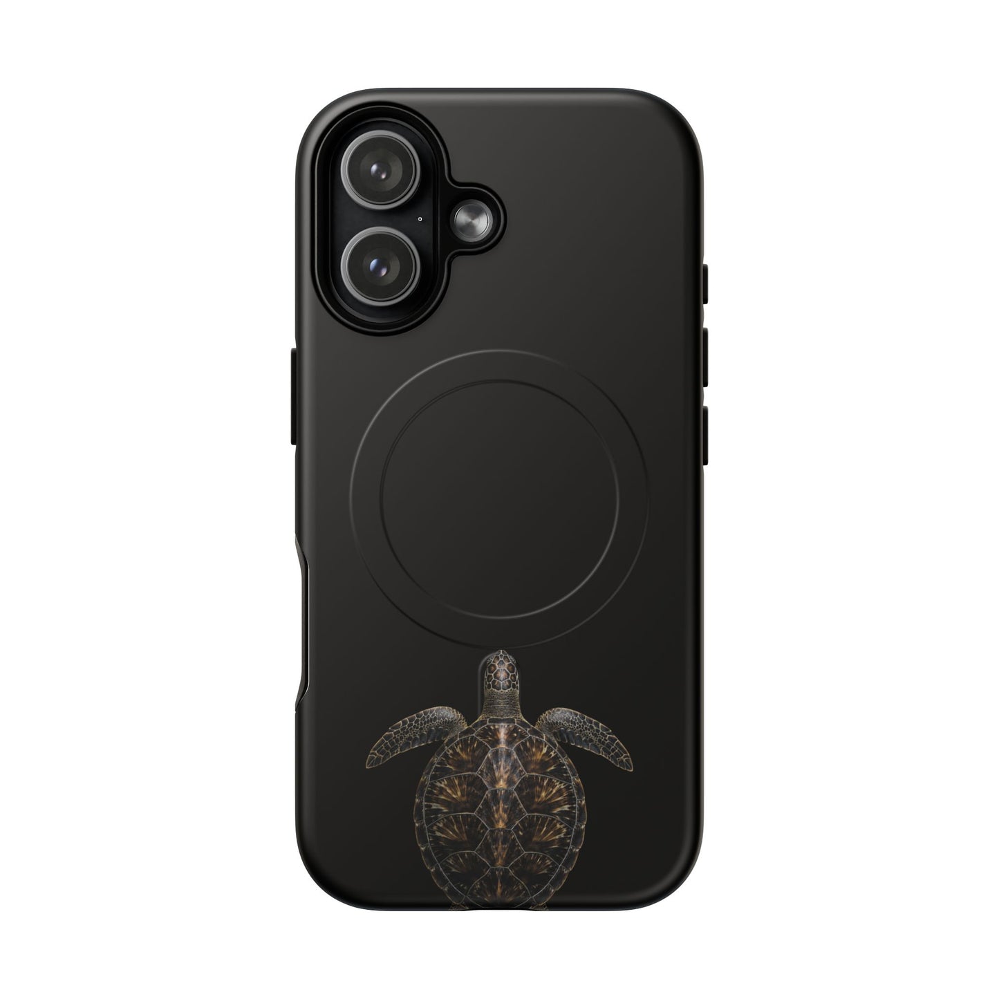 Midnight Turtle