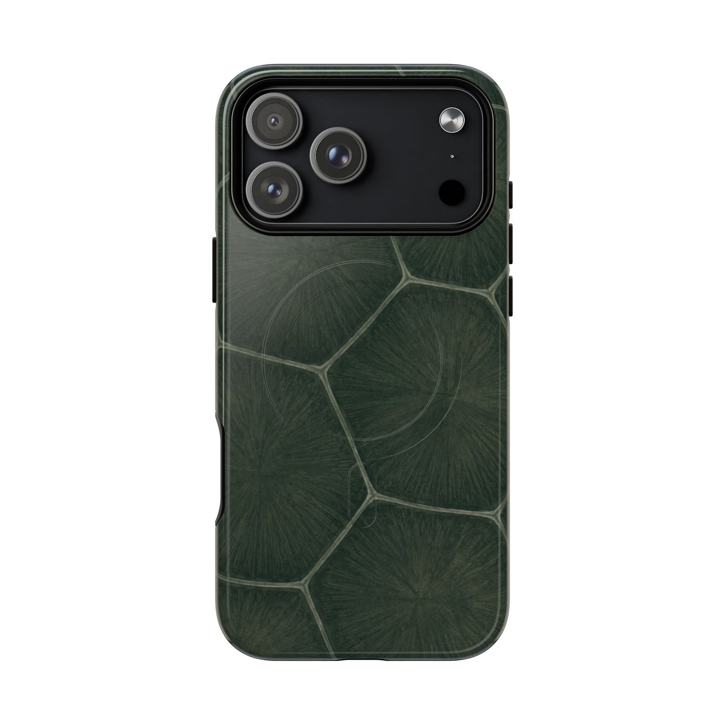 Turtle Pattern