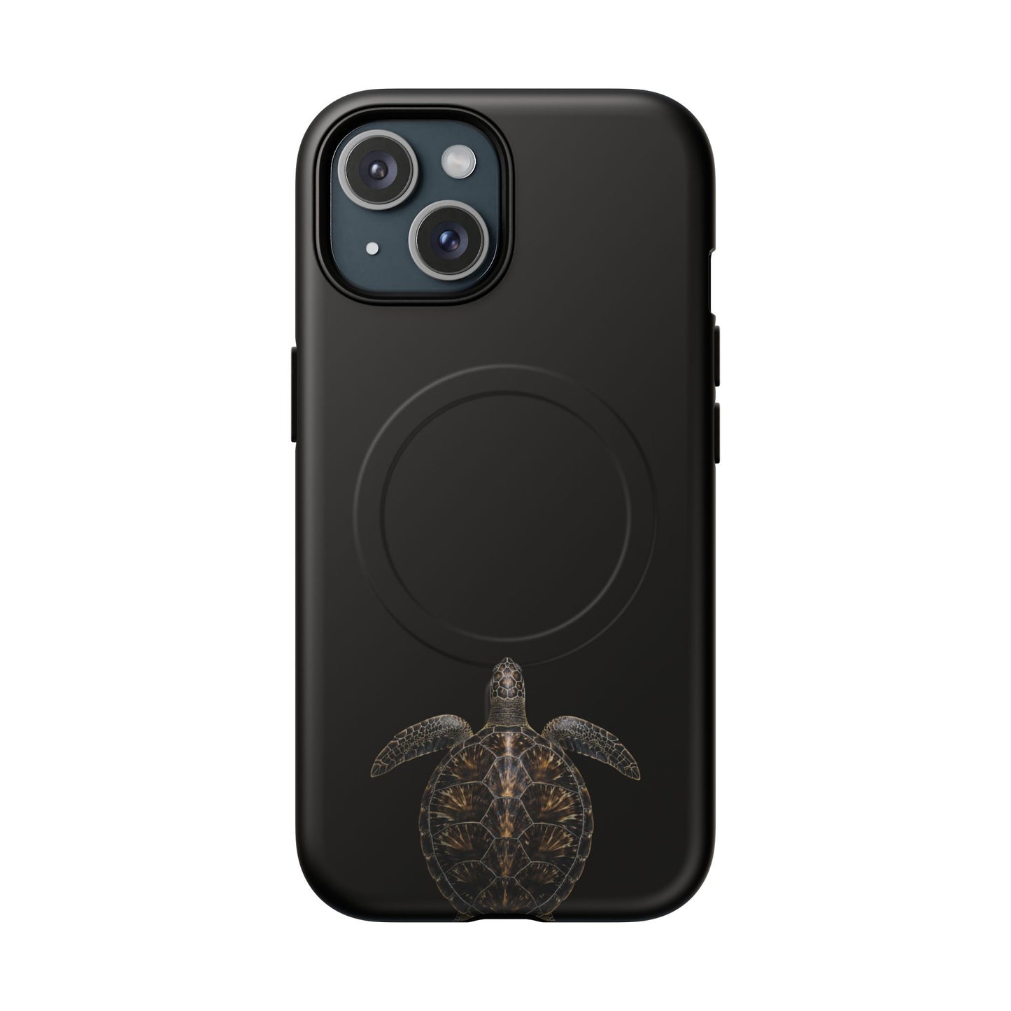 Midnight Turtle